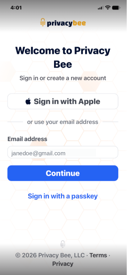 iOS Sign In